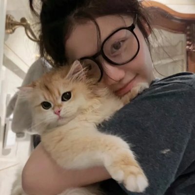 战国妖狐救世姐弟篇